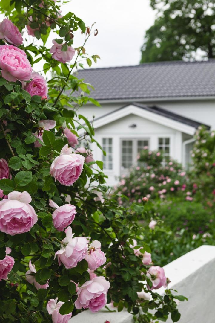 Vallby Cottage Enköping エクステリア 写真